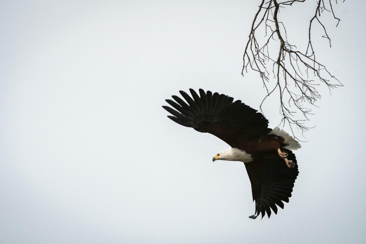 Rukiya Safari Camp Villa Hoedspruit Eksteriør bilde