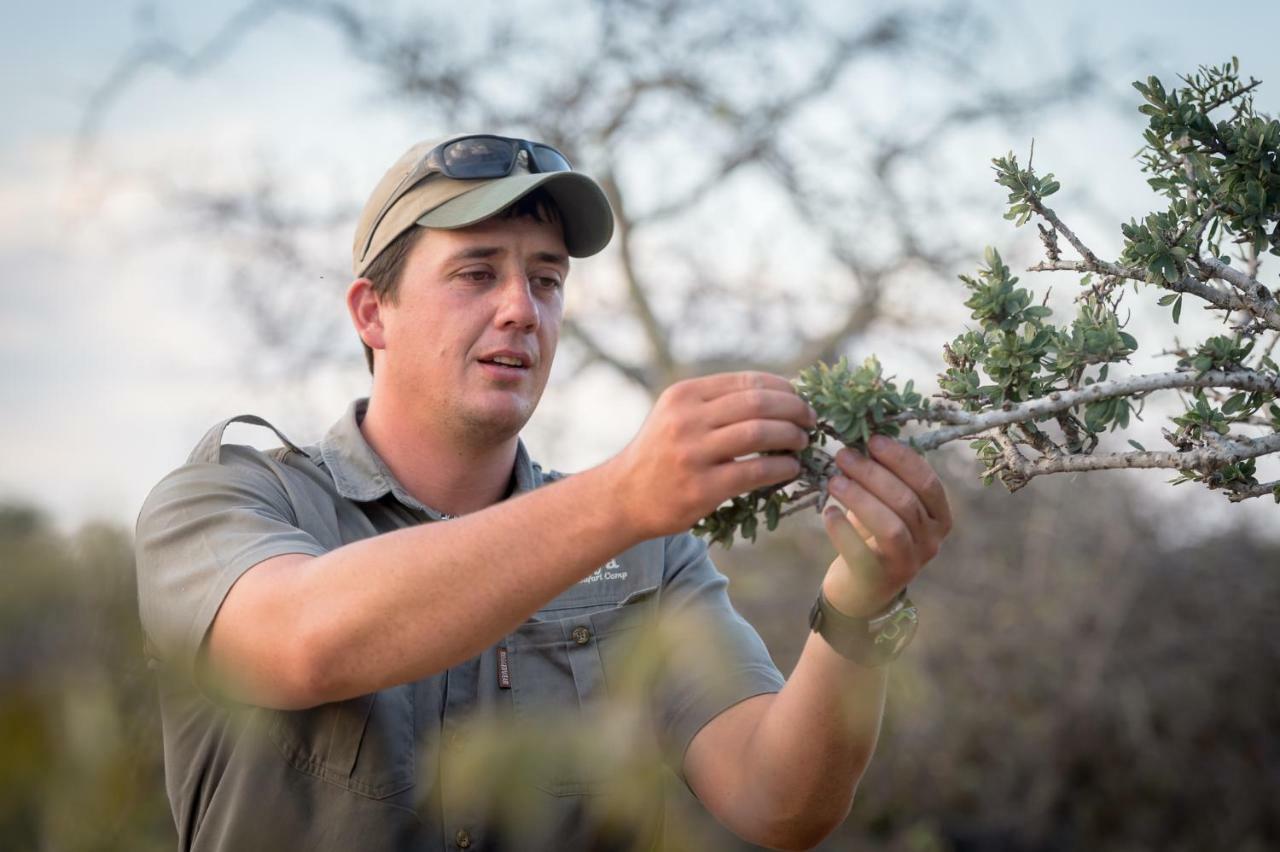 Rukiya Safari Camp Villa Hoedspruit Eksteriør bilde